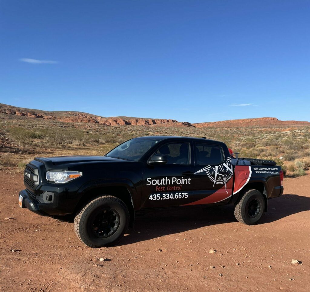 South Point Pest truck